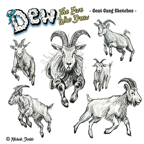 Goats Drawing