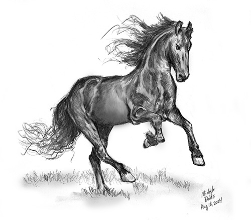 Black Horse Drawing