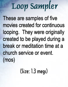 Movie Description